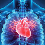 Coronary heart illness is the main reason behind dying at 41%