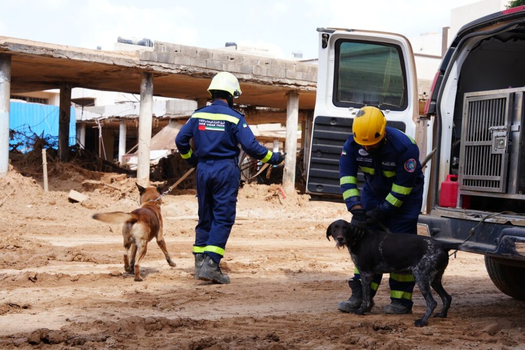 UAE Catastrophe Sufferer Identification staff contributes to finding 181 lacking victims of Hurricane Daniel in Libya’s Derna – World