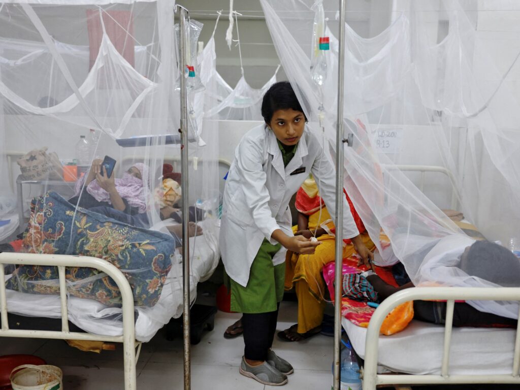 Bangladesh’s dengue deaths surpass 1,000 in worst-ever outbreak |  Well being information