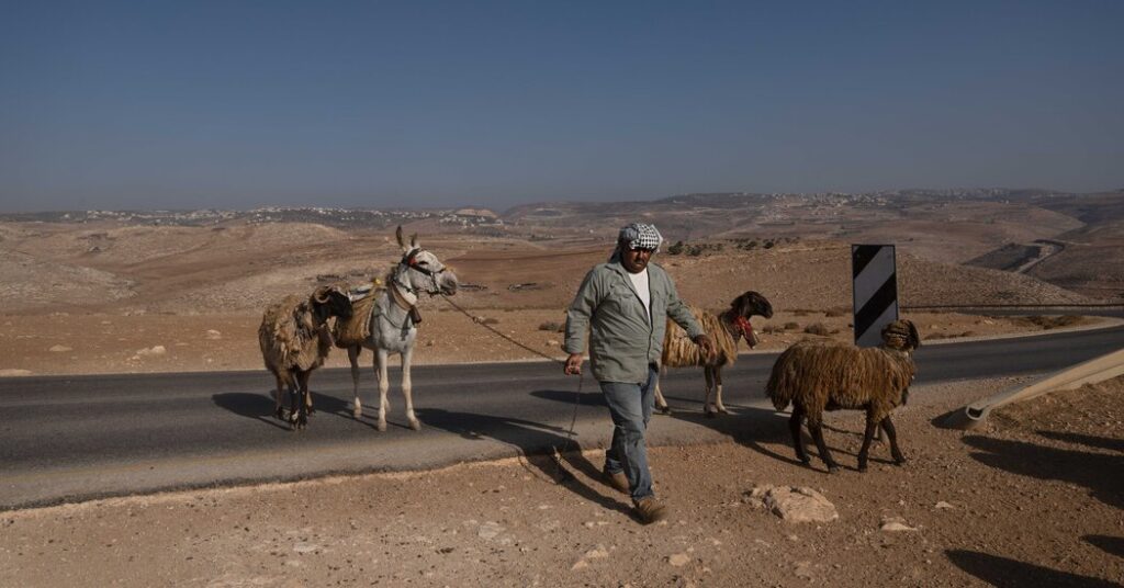 Israeli shepherds unfold throughout the West Financial institution, driving out Palestinians