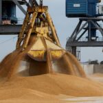 Russia sends first free grain to Africa for the reason that finish of the Black Sea Settlement |  Warfare information between Russia and Ukraine