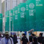 As Dubai hosts local weather talks, air air pollution is rising