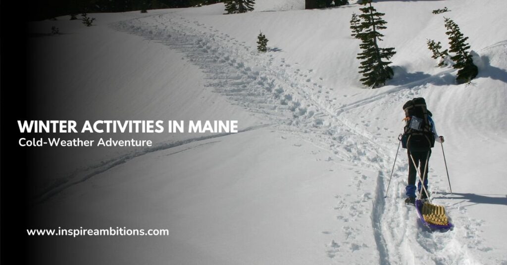 Winter Actions in Maine – The Final Information to Chilly Climate Journey