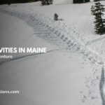Winter Actions in Maine – The Final Information to Chilly Climate Journey