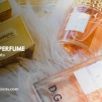 Finest Omani Fragrance – A Information to the Most Beautiful Fragrances